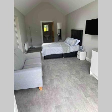 The Forest Chalet - Stunning Studio Apartment Ballycastle Extérieur photo